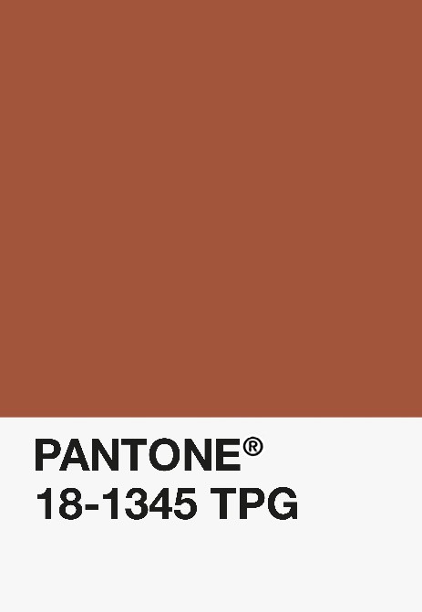 filamenti per stampa 3d pantone