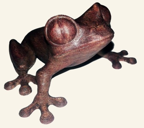 wood frog rana stampata con filamento legno